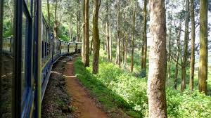 Tamil Nadu Toy Train: Special Toy train between Ooty to Coonoor | Travel  News News, Times Now