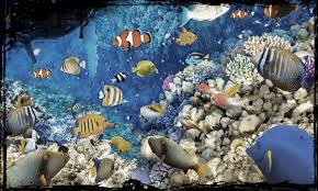 Kode Alam Mimpi Ikan Gabus Akurat Dan Jitu