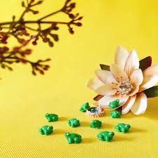 Cacti sprout in under a week. Top 8 Most Popular Frog Terrarium List And Get Free Shipping 4bk4d306