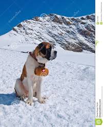 De alpen en de jura maken het klimaat in zwitserland interessant. Sneeuw In De Bergen Zwitserland Google Zoeken Sneeuw Bergen Zwitserland