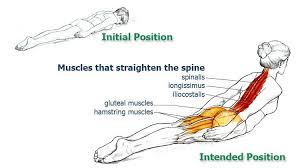 Loop at neck bowmans knot loop at withers loop cranially to hindlimbs and. Pin On Fitness