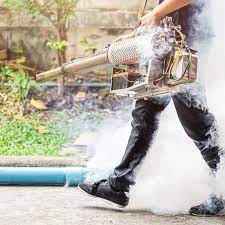 Professional Pest Control Treatment