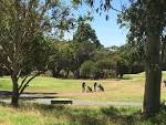 Centenary Park Golf Course, Attraction, Mornington Peninsula ...