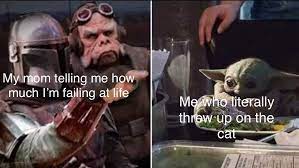 Upvote the best memes, let us know in the comments what you think of baby yoda, as well as the whole star wars franchise, and be sure to share this list. Baby Yoda Memes
