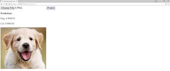 Not fdic insured • no bank guarantee • may lose value. Tensorflow Js Building The Ui For Neural Network Web App Deeplizard