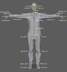 Bones of human body all the 206 bones are together called the human skeletal system. Azure Kinect Body Tracking Joints Microsoft Docs