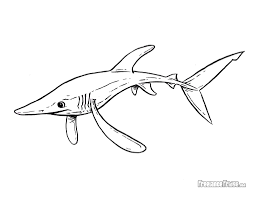 Shark coloring pages are a great way to learn about creatures that live in the ocean. Blog Page 4 Freelance Fridge Illustration Character Development