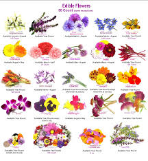 Edible Flower Garden Edible Flowers Edible Flowers Recipes Eatable Flowers