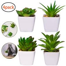 En estas macetas puedes sembrar semillas de laurel, orégano, hierbabuena, hinojo, romero. Yhmall 4pcs Plantas Artificiales Decoracion Exterior De Suculentas Con Macetas Plasticas De Interior Y Exterior Para Flores Artificiales