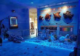 Beliau berkata demikian kepada bernama pada program penghargaan kepada jabatan kerajaan, syarikat swasta dan badan bukan kerajaan (ngo) di pusat konservasi dan penerangan penyu pantai kemunting, pengkalan balak yang turut dihadiri pengarah perikanan melaka mohd fauzi salehon di sini pada khamis. Melaka Pendaratan Terbesar Penyu Karah