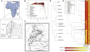 Uganda Genome Resource Enables Insights Into Population