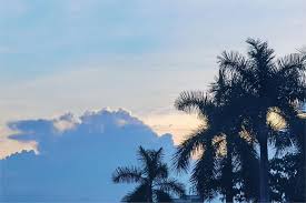 感动“忆”点点- ASEEDER VOLUNTEER