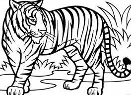 Hey there everyone , our newly posted coloringsheet that you couldhave some fun with is a sumatran tiger on its sitting posture coloring page, listed in tigercategory.this below coloring sheet height & width is about 600 pixel x 367 pixel with approximate file size for around 66.56 kilobytes. Pin On Tiger Art