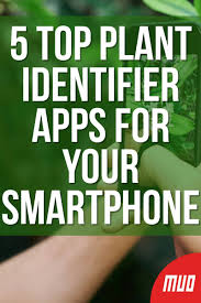Plantnet plant identification app has a database spanning over 20,000 species. The 5 Best Plant Identifier Apps For Android And Iphone Identify Plant Plants App