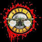 Guns N Yorkshire Roses event image