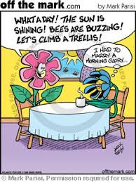Grumpy Cartoons Comics By Off The Mark Cartoons Gardening Quotes Funny Morning Quotes Funny Funny Good Morning Quotes