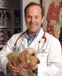 Prior to veterinary school, she received her bachelor's degree in biology with a specialization in biomedical science and a minor in agriculture at southeast missouri state university in 2009. South Fork Animal Hospital Wainscott Veterinary Services