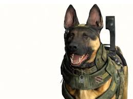 Digital Dogs A Short History Of Man S Best Friend In Video Games Financial Post