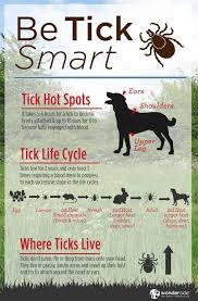 Pin By Venita Helton On Pets And Critters Dog Health Tips Pet Safety Pet Emergency