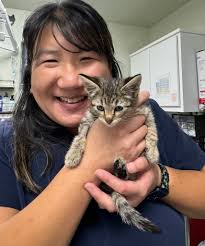 ❤️❤️Tuna is ready for adoption !!!! ❤️❤️ Tuna has a sad story. She was  living outside of a gas station for many years, being fed by workers.  Someone passing by saw that