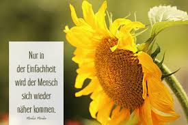 Like mich und du wirst ewig leben. Kurze Spruche Kluge Lebensspruche Zitate Kurz Niveauvolle Gedanken