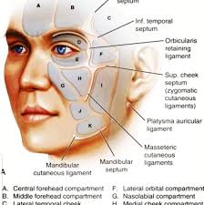 Beverley Evans Independent Aesthetic Nurse Practitioner