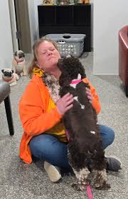 I have now approved 3 different applicants for the golden pups and they  have all declined. I just want to encourage folks again to think before  applying. We could have had all