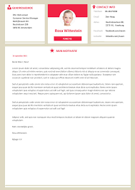 Opvallend Moderne Cv Inclusief Motivatiebrief
