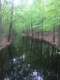 Los tipos de habitación pueden variar. Northwest River Park Picture Of Northwest River Park Chesapeake Tripadvisor