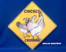 We've also got knock knock jokes for kids and. Chicken Rooster Crossing Sign At Animal World