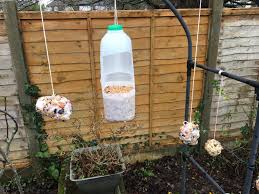 Rspb pocket garden birdwatch book. Rspb Big Garden Bird Watch Making Bird Feeders Twin Mummy And Daddy