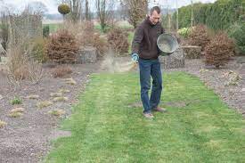 Ein wenig strapazierter zierrasen benötigt. Rasen Dungen So Wird Der Teppich Sattgrun Mein Schoner Garten
