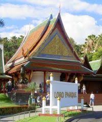 Resultado de imagen de imagenes de loro parque