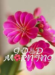 1080p Images Hd White Good Morning Images Hd 1080p Download 500 good morning text messages for girlfriend. hd white good morning images hd 1080p