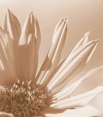 Obsèques : Avis de décès pour Évrecy