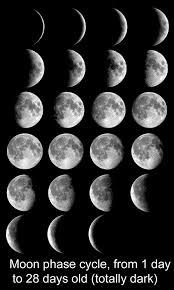 Gallery Of Earth Images Nasa S The Space Place Moon Phases Moon Lunar Calendar