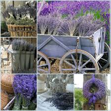 Maybe you would like to learn more about one of these? Queen Bee Cottage Beautiful Collage Purple Flowers Spring Garden