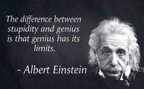 All albert einstein quotes | albert einstein books. Stupidity Knows No Bounds Einstein Quotes Albert Einstein Quotes Wise Quotes