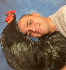 This rooster is HUGE!! While at first glance this rooster appears black,  when the light hits it you can see iridescent green all throughout it. This  stunning guy is available for purchase! *