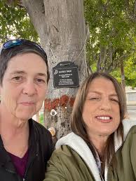 Free rocks to paint with pet toy purchase