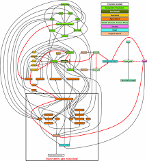 One is the danger of supposing that breakfast comes from the grocery, and the other that heat. Combining Micro Bottom Up And Macro Top Down Modelling Responses To Nutrient Cycles In Complex Agricultural Systems Springerlink
