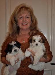 How many puppies can a havanese have? Encore Havanese