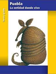 Encuentra todos tus libros de texto de la sep para que los puedas ver desde tu compu, tablet o celular. Libros De Texto Primaria Materia Puebla La Entidad Donde Vivo Nivel Primaria Grado Tercer Grado Ciclo Esco Libro De Texto Catalogo De Libros Ciclo Escolar