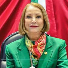 Ninguna violencia debe caber en el Senado": Laura Itzel Castillo