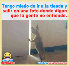 Me Da Miedo Salir A La Tienda Chistes Geniales Memes Espanol Graciosos Chistes
