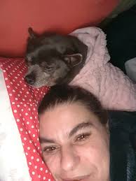 Hi, meet the bed hog who stole my pillow