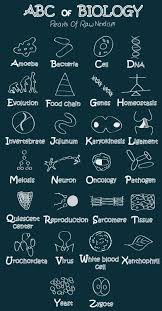 Biology In 2020 Science Biology Biology Biology Notes