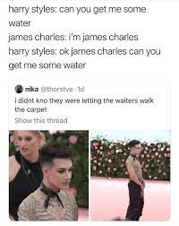 Harry Styles Can You Get Me Some Water James Charles I M James Charles Harry Styles Okjames Charles Can You Get Me Some Water Nika C Thorstve 1d I Didnt Kno They Were
