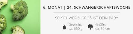 24 Ssw Schwangerschaftswoche Das Erlebst Du In Der 24 Schwangerschaftswoche