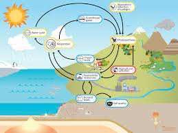 Maybe you would like to learn more about one of these? Respiration Understanding Global Change